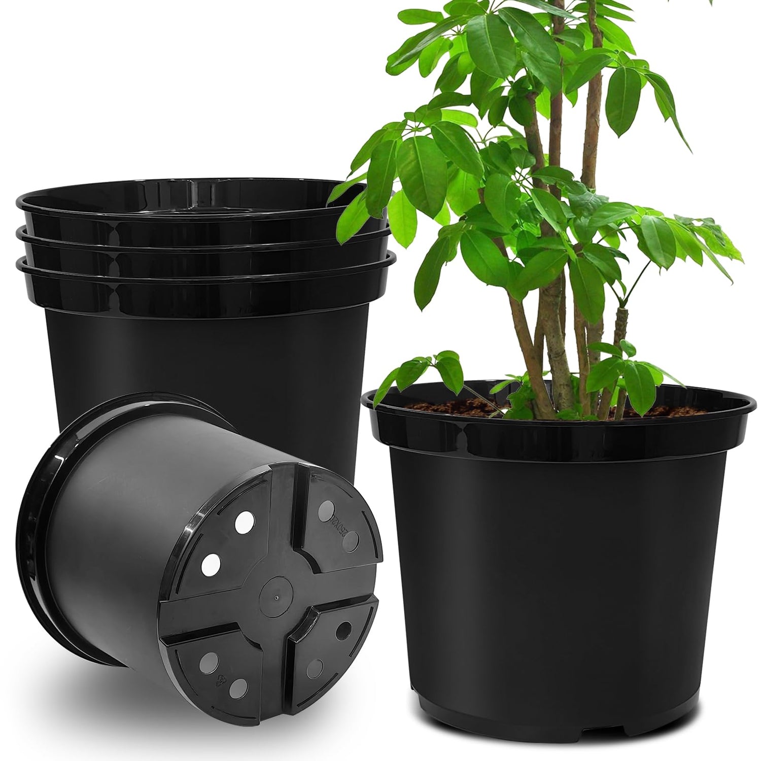 5 Gallon planters